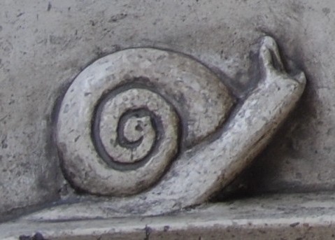schnecke